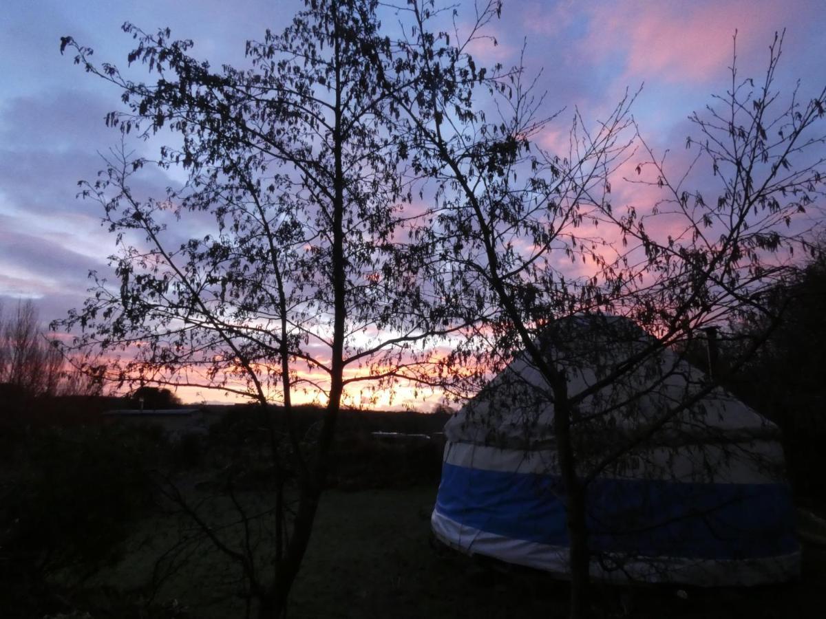 Inch Hideaway Eco Camping Whitegate  Ngoại thất bức ảnh