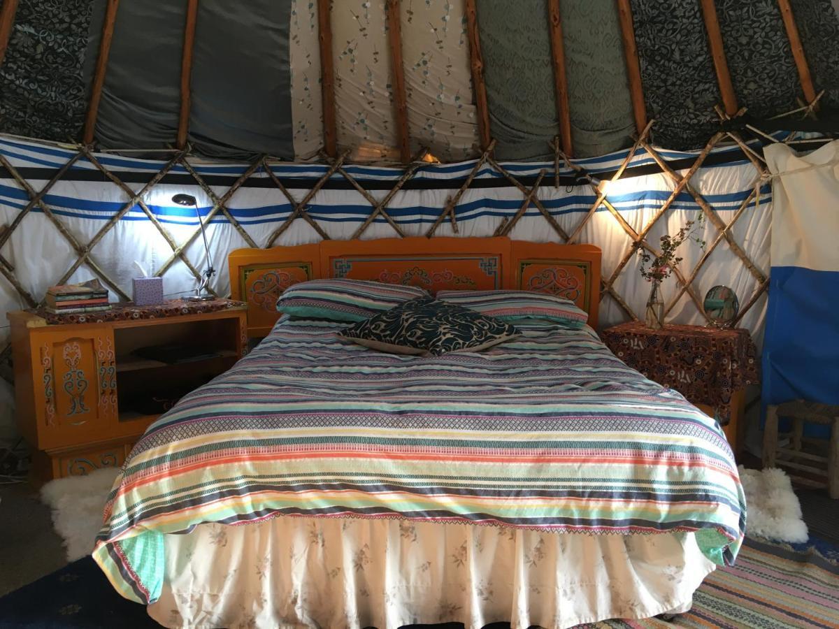 Inch Hideaway Eco Camping Whitegate  Ngoại thất bức ảnh