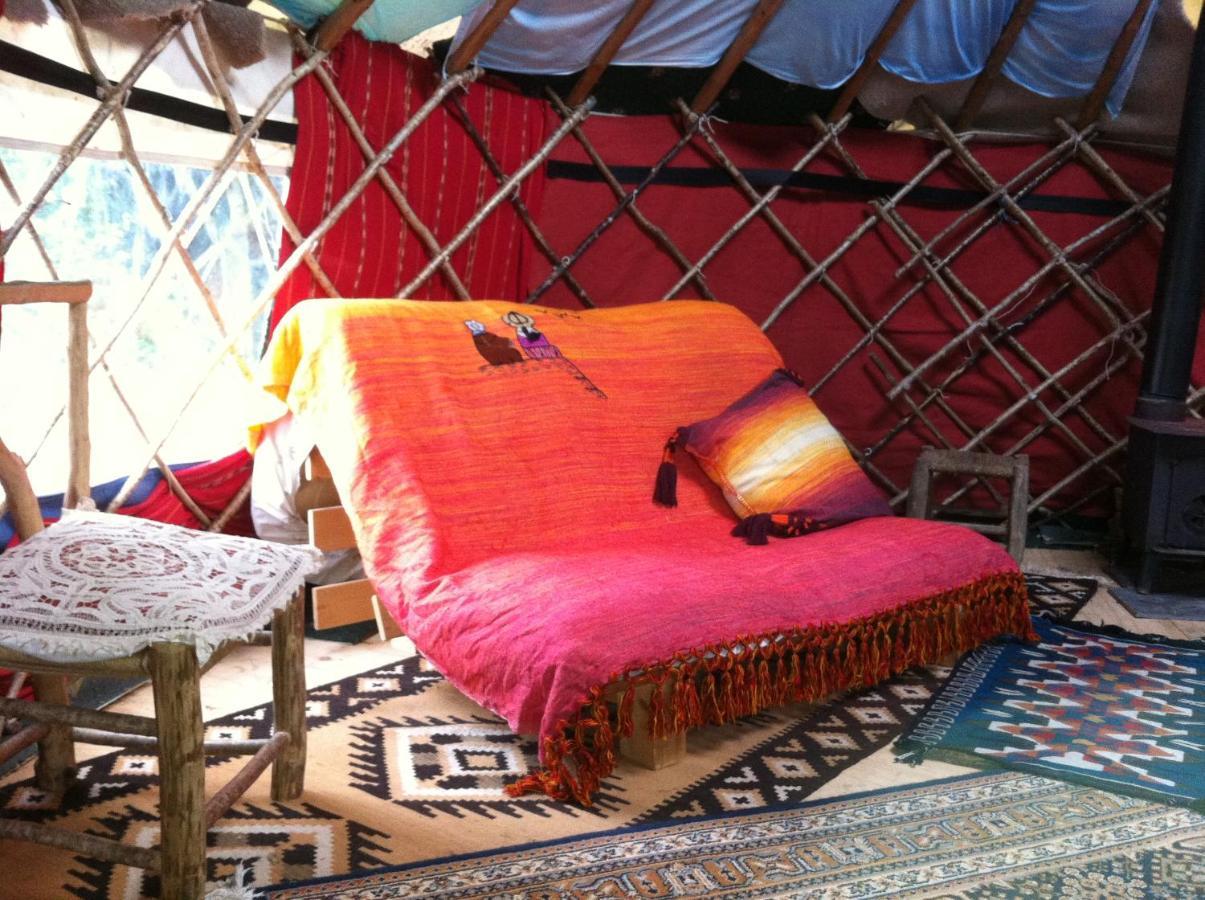 Inch Hideaway Eco Camping Whitegate  Ngoại thất bức ảnh