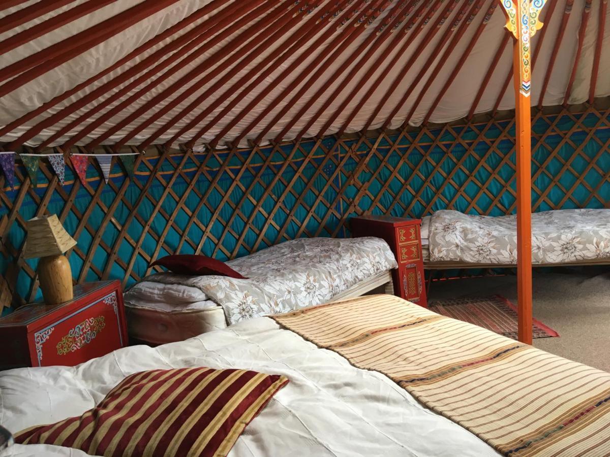 Inch Hideaway Eco Camping Whitegate  Ngoại thất bức ảnh